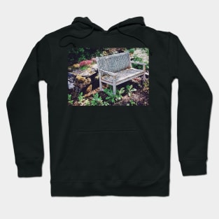 Garden Bench in Sunlight Hoodie